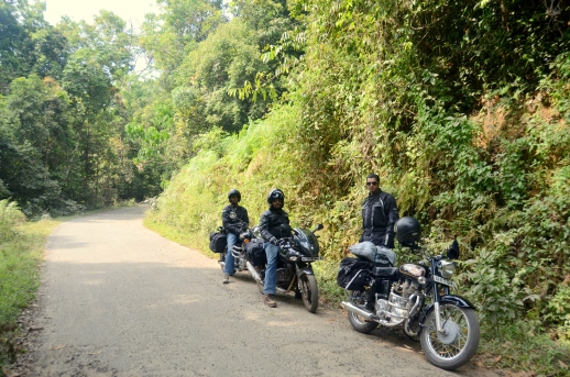 Quick Stop In Idamalayar Reserve Forest